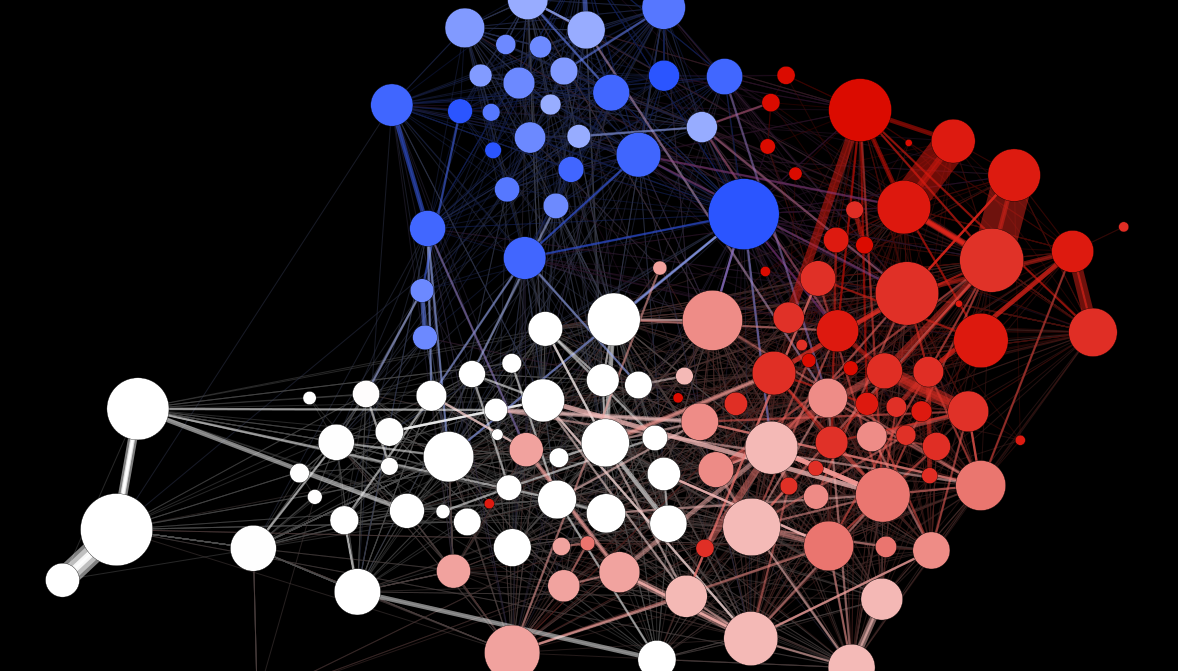 Complex network visualisation for the history of interdisciplinarity: Mapping research funding in Switzerland